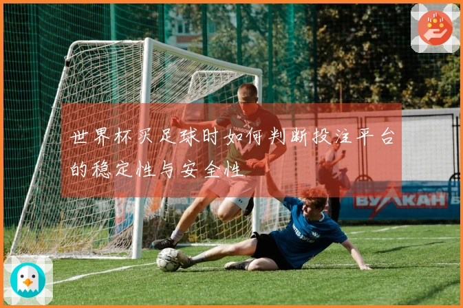 世界杯买足球时如何判断投注平台的稳定性与安全性