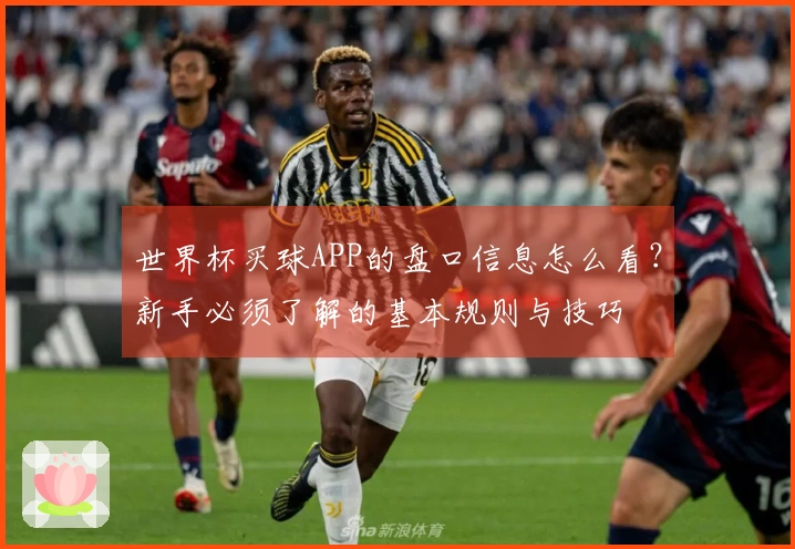 世界杯买球APP的盘口信息怎么看？新手必须了解的基本规则与技巧