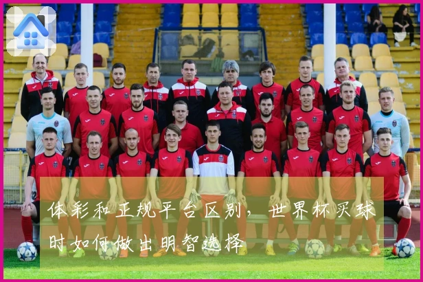 体彩和正规平台区别，世界杯买球时如何做出明智选择