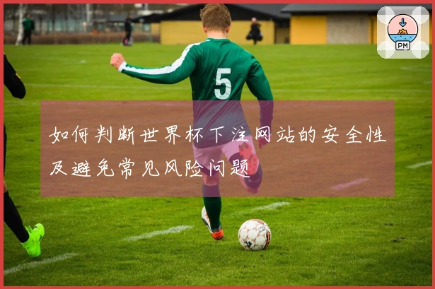 如何判断世界杯下注网站的安全性及避免常见风险问题