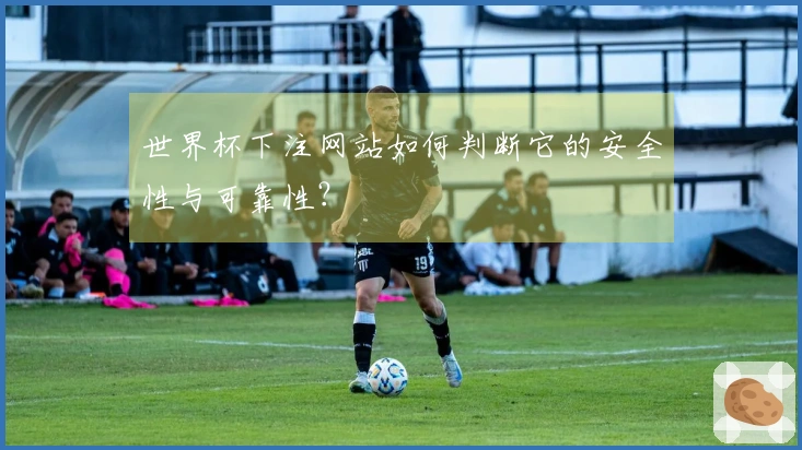 世界杯下注网站如何判断它的安全性与可靠性?