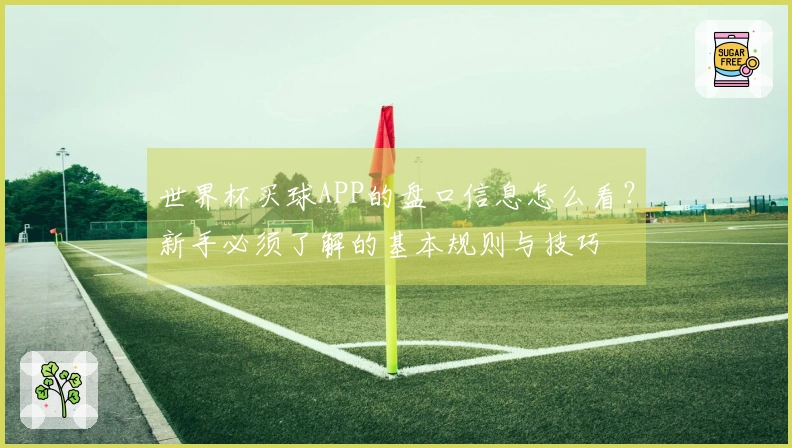 世界杯买球APP的盘口信息怎么看？新手必须了解的基本规则与技巧