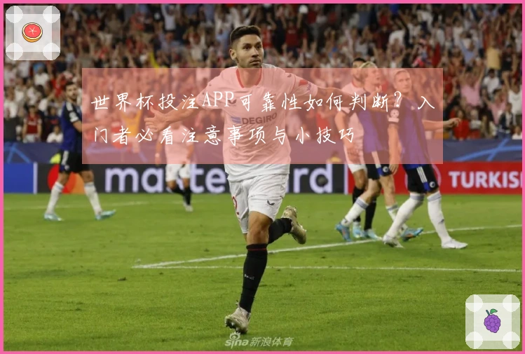世界杯投注APP可靠性如何判断？入门者必看注意事项与小技巧