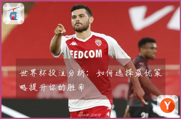 世界杯投注分析：如何选择最优策略提升你的胜率