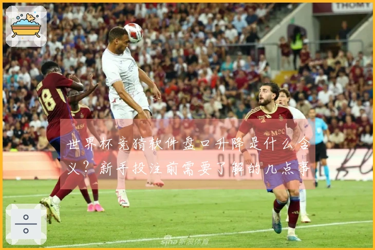 世界杯竞猜软件盘口升降是什么含义？新手投注前需要了解的几点事项