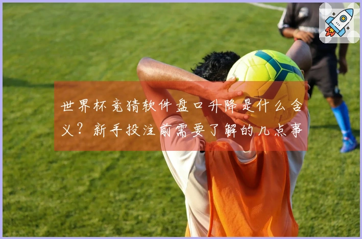 世界杯竞猜软件盘口升降是什么含义？新手投注前需要了解的几点事项