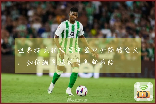 世界杯竞猜官网中盘口升降的含义，如何避免误区与判断风险