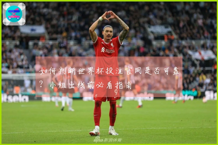 如何判断世界杯投注官网是否可靠？小组出线前必看指南