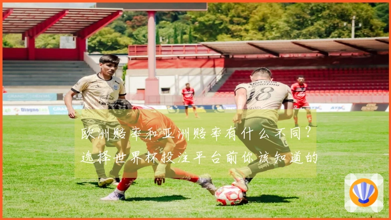 欧洲赔率和亚洲赔率有什么不同？选择世界杯投注平台前你该知道的关键差异