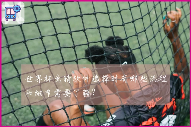 世界杯竞猜软件选择时有哪些流程和细节需要了解？