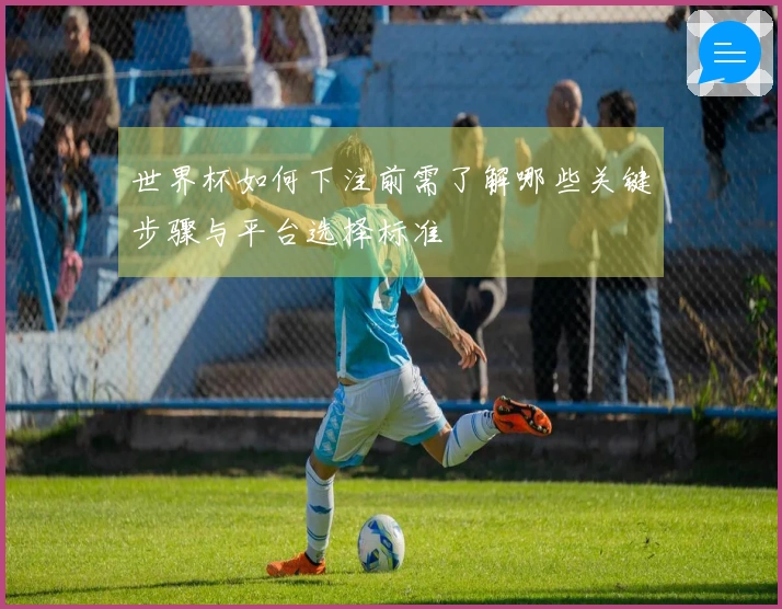 世界杯如何下注前需了解哪些关键步骤与平台选择标准