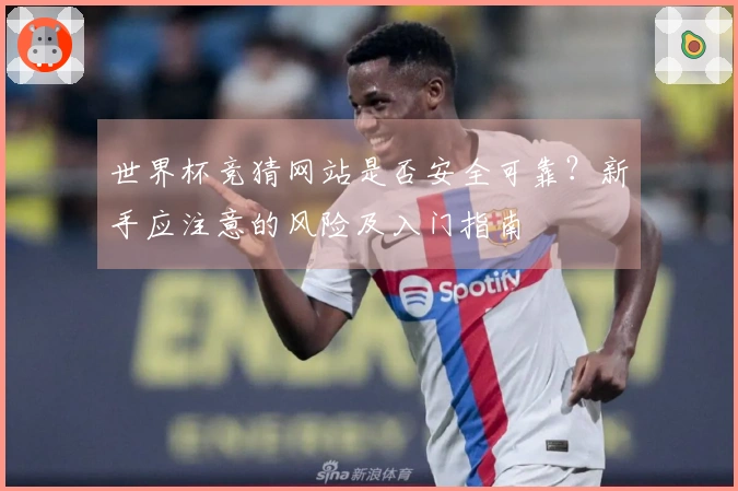世界杯竞猜网站是否安全可靠？新手应注意的风险及入门指南