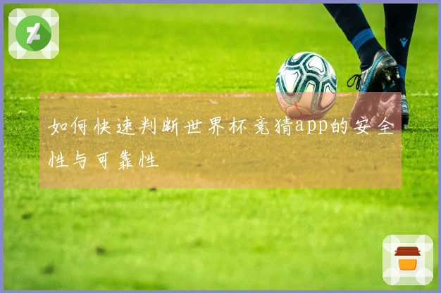 如何快速判断世界杯竞猜app的安全性与可靠性