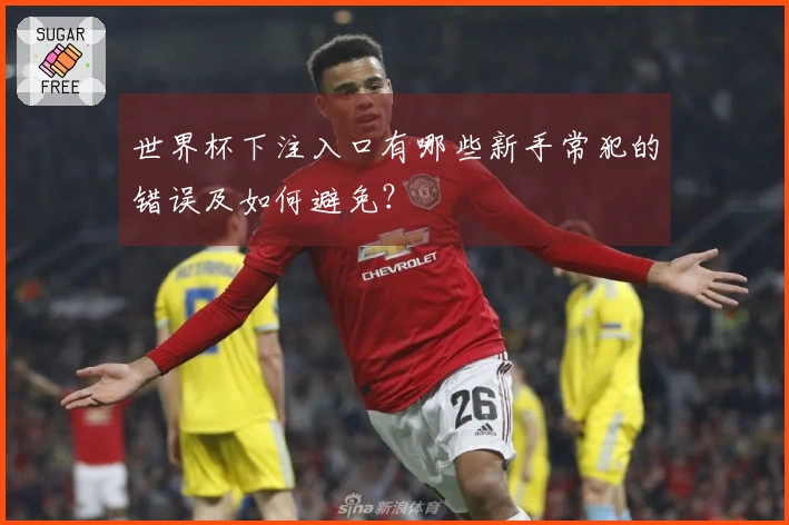 世界杯下注入口有哪些新手常犯的错误及如何避免？