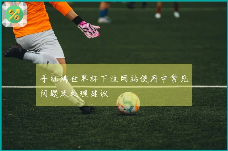 手机端世界杯下注网站使用中常见问题及处理建议