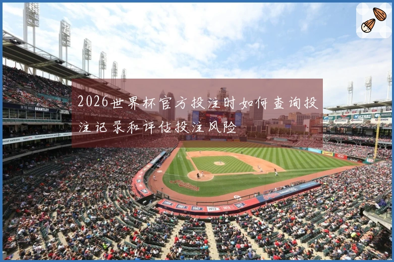 2026世界杯官方投注时如何查询投注记录和评估投注风险