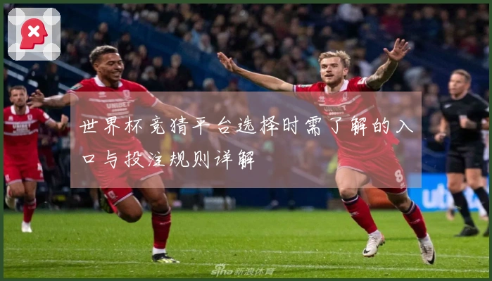 世界杯竞猜平台选择时需了解的入口与投注规则详解
