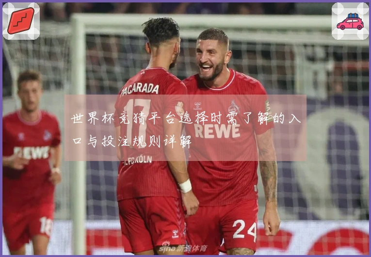 世界杯竞猜平台选择时需了解的入口与投注规则详解