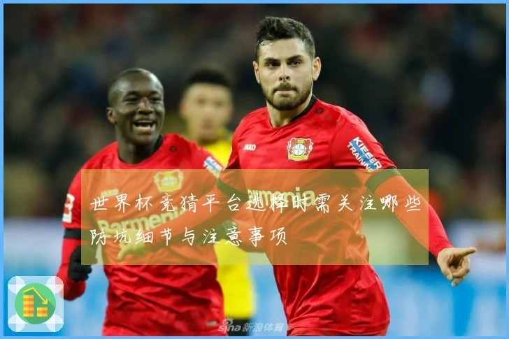 世界杯竞猜平台选择时需关注哪些防坑细节与注意事项