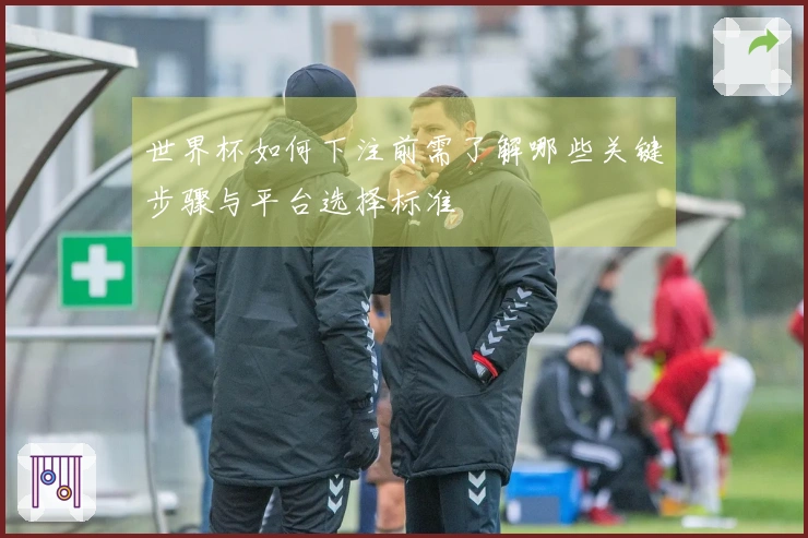 世界杯如何下注前需了解哪些关键步骤与平台选择标准