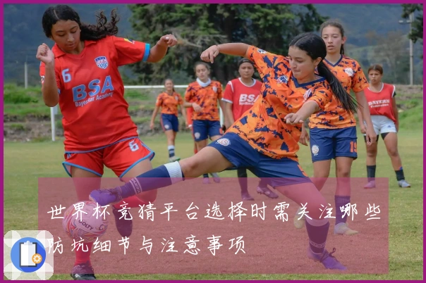 世界杯竞猜平台选择时需关注哪些防坑细节与注意事项