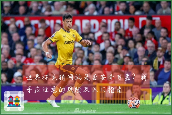 世界杯竞猜网站是否安全可靠？新手应注意的风险及入门指南